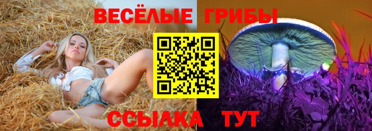 Минеральные Воды  сколько стоит  Вход с VPN  Галлюциногенные грибы GOLDEN TEACHER  Псилоцибиновые грибы ЛСД 